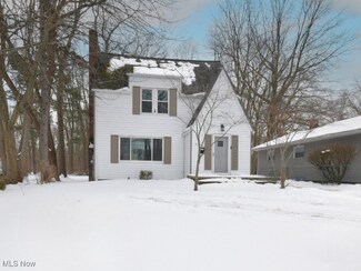 435 W Walnut Ave, Painesville, OH 44077
