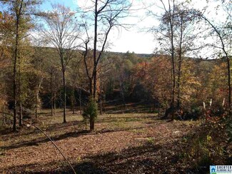 0 Jackson Loop Rd Unit 1 724438, Ragland, AL 35131