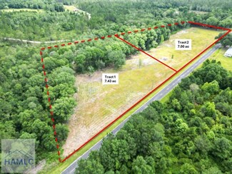 Tract 1 Hodges Rd, Hinesville, GA 31315