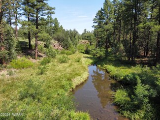 0 Alisa Ln, Pinetop-Lakeside, AZ 85929