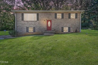 580 Choctaw Dr, Chuckey, TN 37641