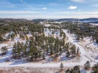 TBD Lot 2 Triple M Ranch Rd, East Custer, SD 57744