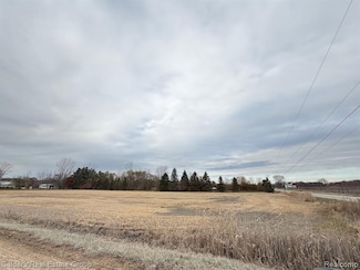 31 Mile Rd, New Haven, MI 48050