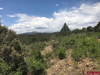 TBD Cougar Way, Hesperus, CO 81326