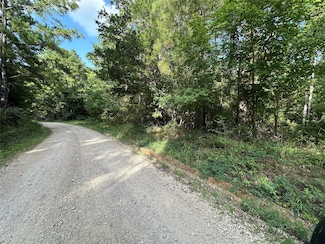 TBD Dickens Loop, Livingston, TX 77351