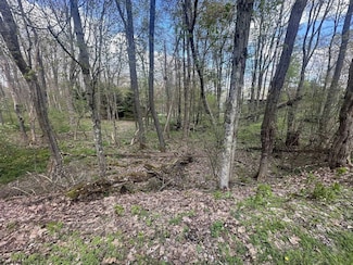 LOT 57 and 58 Chestnut Dr, Terra Alta, WV 26764