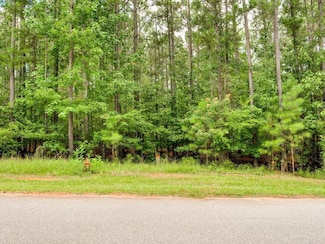 Lot 58 Lighthouse Pointe, Lincolnton, GA 30817
