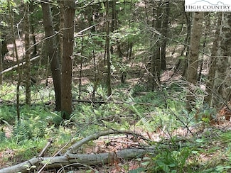 Lots 55 & 57 Meadow Crest Dr, Jefferson, NC 28640