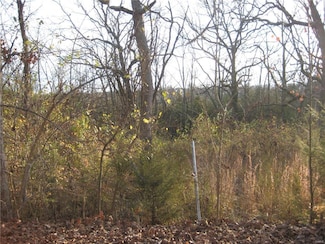 0 Kennett St, de Soto, MO 63020