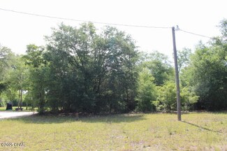 5929 Nichols Rd, Bascom, FL 32423