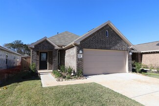 17246 Black Ash Ct, New Caney, TX 77357