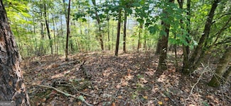 Lot 1699 Shade Tree Dr, Talking Rock, GA 30175