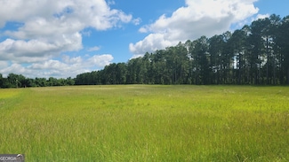 0 Briar Patch Way Unit 10546919, Reynolds, GA 30176