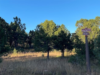73 Silver Feather Trail, Pecos, NM 87552