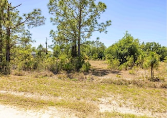 27119 Mandalay Dr, Punta Gorda, FL 33955