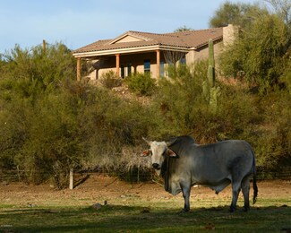 27706 W McCarroll Rd, Morristown, AZ 85342