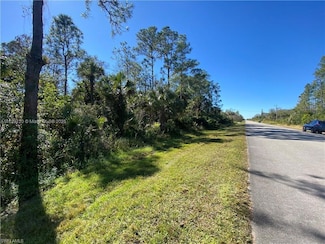 0 Shady Hollow Blvd E Unit A11829710, Naples, FL 34120