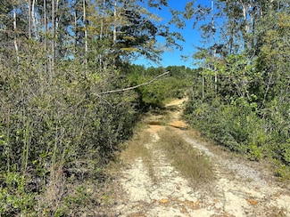 Parcel A Millside Rd, Laurel Hill, FL 32567