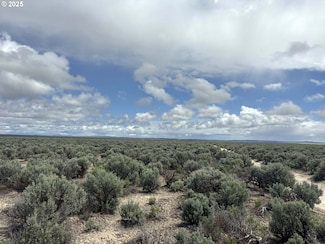 0 Kna Lost Forest Ln Unit 4700, Christmasvalley, OR 97641