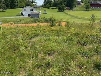 3593 Tennessee 390, Bluff City, TN 37618