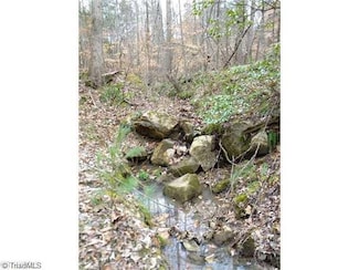 00 Curt Boyles Rd, King, NC 27021