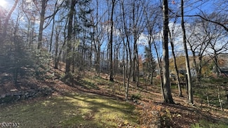 22 Mountain Rd, Denville, NJ 07834