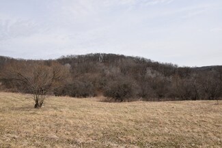 40 Ac Dugway Rd, Ridgeway, WI 53582