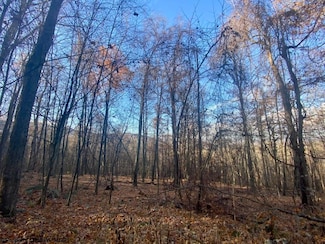 3 Stone Camp Ridge, Dryfork, WV 26263