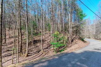 Lot 694 Satsuma Ct, Ellijay, GA 30540