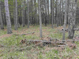 TBD Parcel 2 Paint River Rd, Crystal Falls, MI 49920