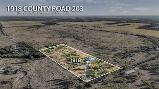 1918 County Road 203, Burnet, TX 78611