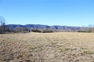 4300 S Center Church Rd, Thurmond, NC 28683