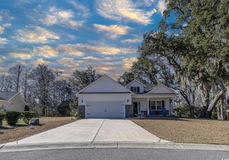 29 Bird Watch Ct, Georgetown, SC 29440