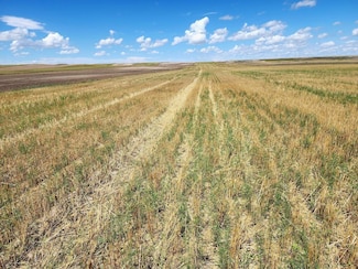 Tbd Road 7w, Bushnell, NE 69128