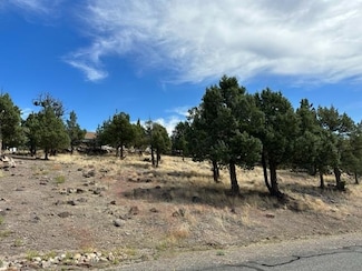 9-1/90 Wildhorse Rd Unit 9-1, Weed, CA 96094