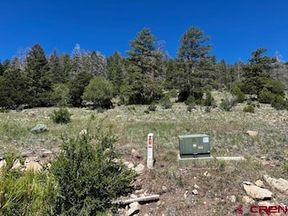 0 Ellingwood Dr Unit 814728, South Fork, CO 81154