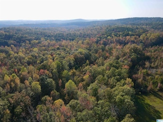 0 Peach Orchard Rd Unit 21403810, Ashland, AL 36251