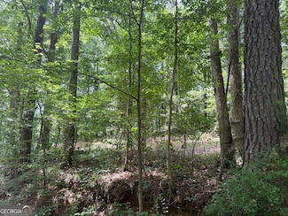 0 Turner Rd Unit 10541175, Hampton, GA 30228