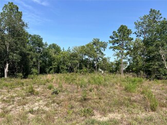 0 NE 150th Ct Unit MFRG5097293, Williston, FL 32696