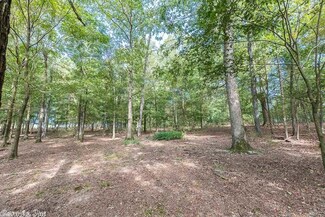 0 Polk 10 Rd Unit 17028129, Wickes, AR 71973