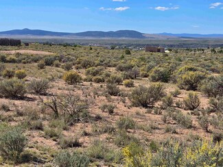 Tract 1 C Mesa Sea Rd, Arroyo Hondo, NM 87529