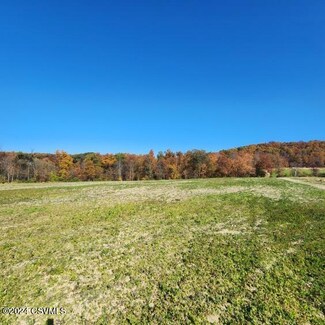 00 Foggy Mountain Rd, Anthony Township, PA 17772