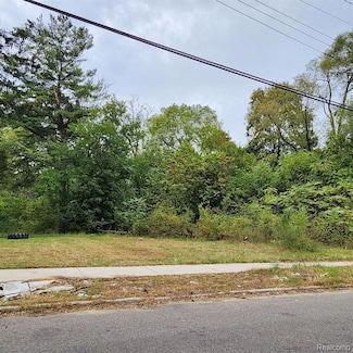 17609 Trinity St, Detroit, MI 48219
