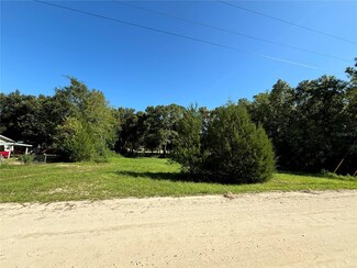 14153 NE 49th Ln, Williston, FL 32696
