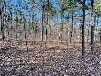 0 Lynnes Ln Catskill Ny 12414 Unit 150957, Catskill, NY 12414