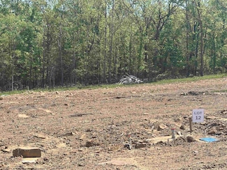 Lot 12 Madeleine Cir, Austin, AR 72007