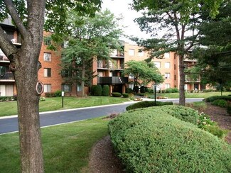 950 E Wilmette Rd Unit 317, Palatine, IL 60074