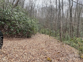 Lot 2 Lake Ridge Ln, Topton, NC 28781