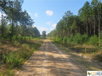 999 County Road 1101, Wiergate, TX 75977