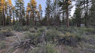 0 Bufflehead Dr Unit 9 220206696, Bonanza, OR 97623